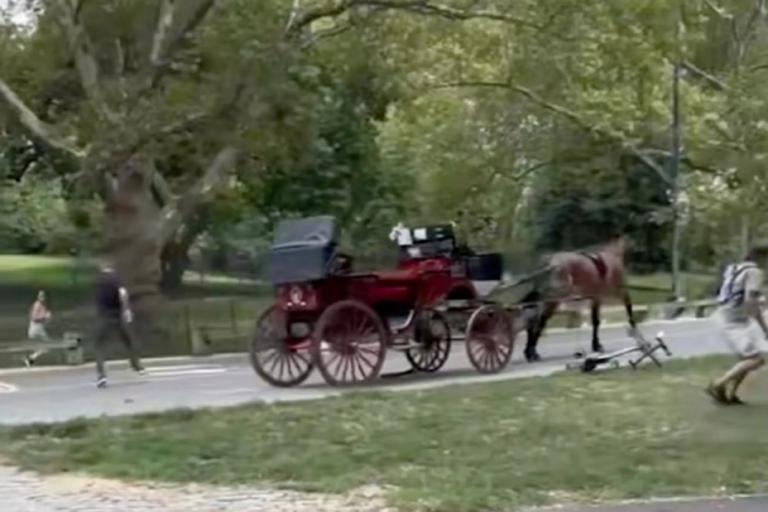 Afternoon on Central Park West