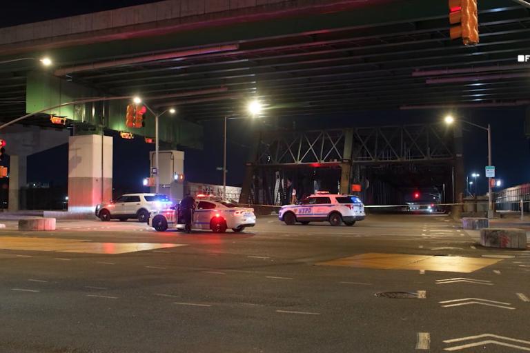 Crosswalk, Midnight, Bronx: One Woman Down, and a Pattern That Doesn’t Stop