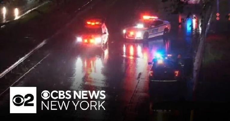 Bronx River Parkway: two riders down, a system on idle